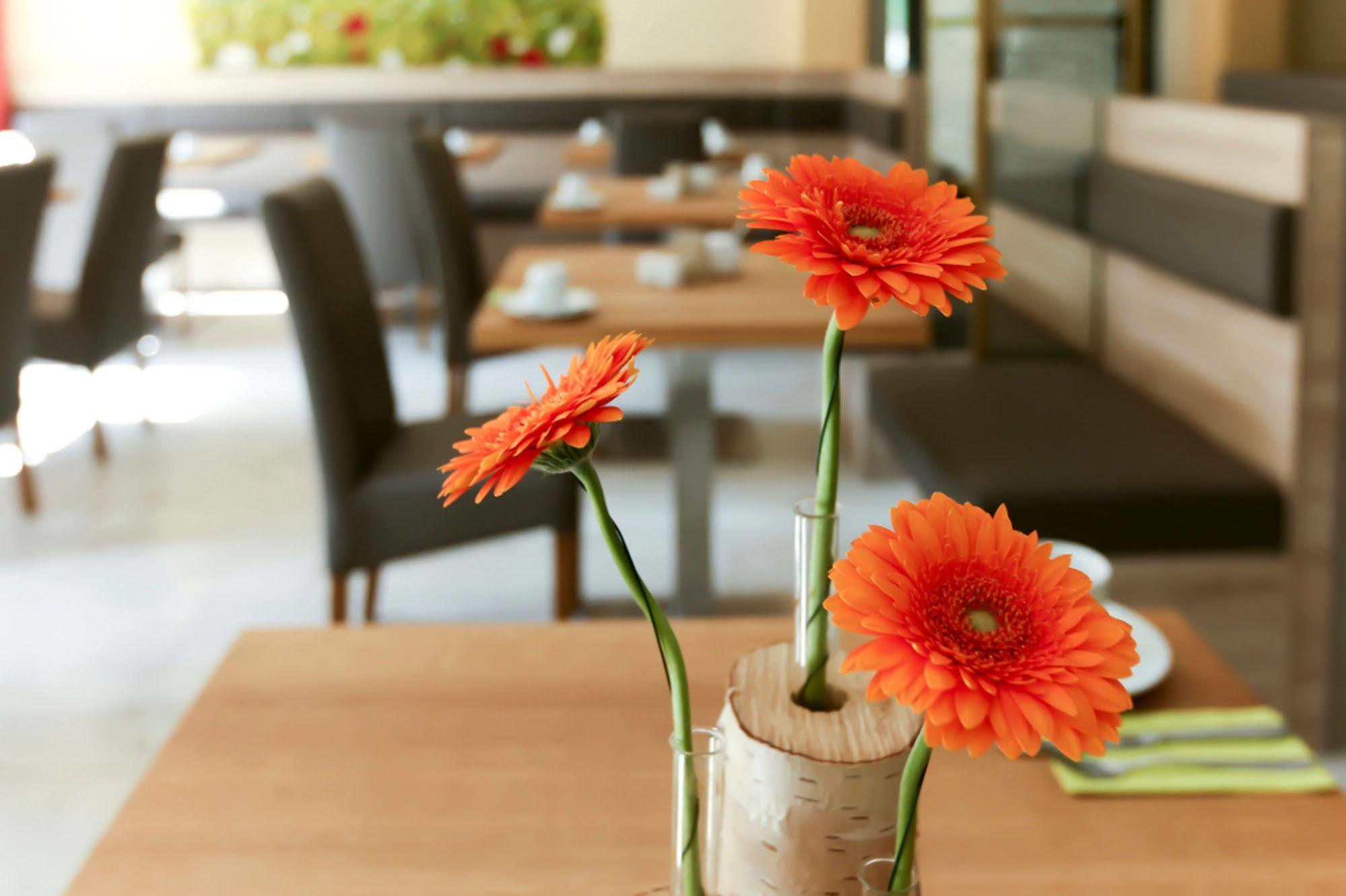 באד שאנדאו Hotel Garni Grundmuehle מראה חיצוני תמונה